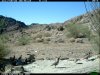 trail cam desert 2710.JPG
