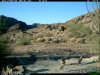 trail cam desert 2109.JPG