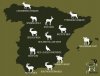 Hunting species in Spain (2).jpg