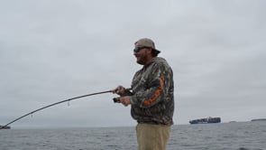 seamonkey-sportfishing.com