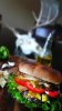 elkhamburgers_02Small.jpg