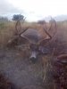 AZ Pic #1.jpg