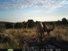 az strip 2011 258.jpg