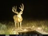 az strip 2011 232.jpg