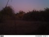 PICT0417.JPG