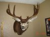 Tylers mount 001.jpg