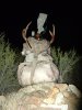 2011 deer hunting 049.JPG