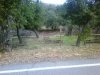 IMG01006-20111220-0843.jpg