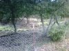 IMG01008-20111220-0844.jpg