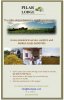 Pilar flier copy.jpg