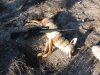 Yote1003.jpg