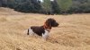 20160725_131559#1.jpg