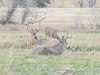 IMG_9285.JPG
