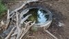 20160821_065617.jpg 20160821_065617.jpg