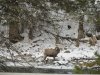 montana day 7 029.JPG