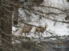 montana day 7 033.JPG