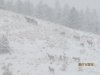 montana day 4 020.JPG