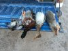 IMG_0206.JPG