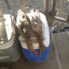 20161002_175726.jpg