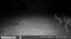 HUNT0026.JPG