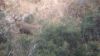 IMG_0453.PNG