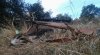 30 Oct D16 Buck.jpg