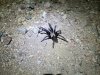 20161030_054008.jpg