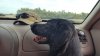 20161029_084734.jpg