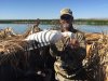 1st snow in the blind 2016.JPG