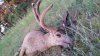 20160726_060607.jpg