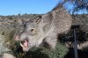 IMG_2202x.jpg