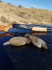 20161123_093644.jpg