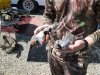 quail 2010 017.JPG
