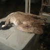 20161129_204054.jpg