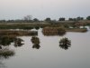kern 2010 003.JPG