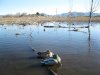 henshaw 1-29-11 009.JPG