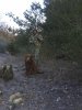 20161218_134803.jpg