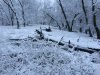IMG_0477.JPG