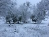 IMG_0478.JPG