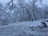 IMG_0481.JPG