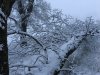 IMG_0479.JPG