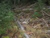 washington elk hunt lll 2011 032.JPG
