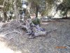 IMG_2483.JPG
