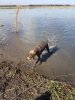 20170121_105549.jpg
