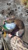 20170204_120759.jpg