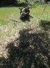 turkey hunt 4-19-12 004.JPG