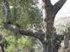 IMG1098_166.jpg
