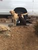 Trigger & Yeager 4-1-16.JPG