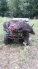 Tex hog 3.JPG