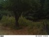 trail cam 9-10-12 014.JPG
